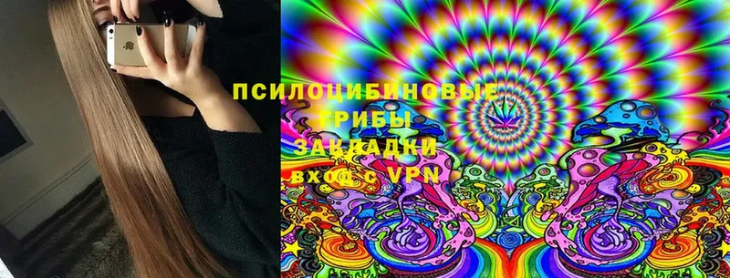 Псилоцибиновые грибы Cubensis  МЕГА сайт  Калязин 